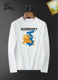 Picture of Burberry T Shirts Long _SKUBurberryM-3XL25tn0230731